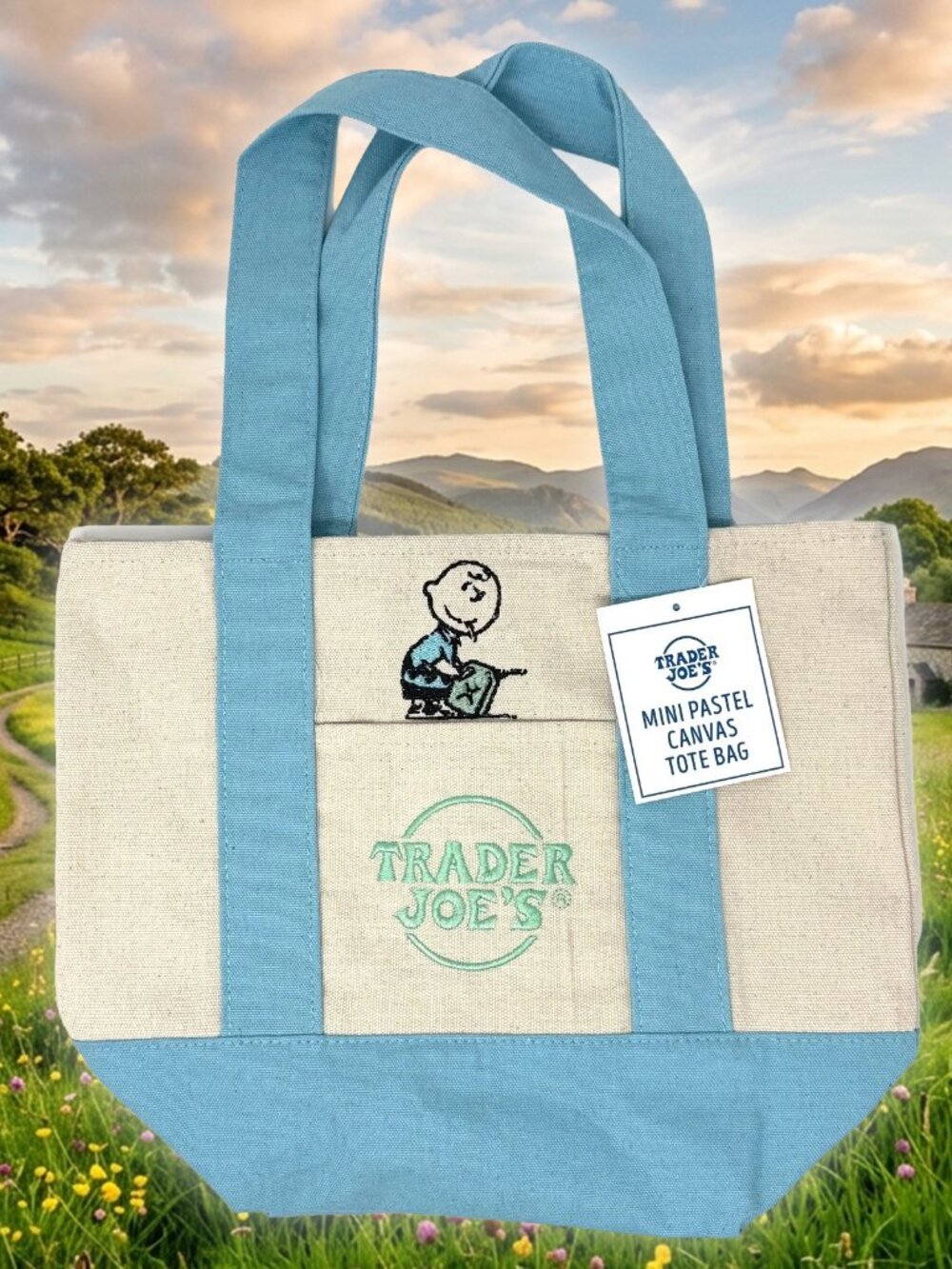 Trader Joe's Mini Blue Easter Tote Bag - Banksy Inspired Custom Embroidered